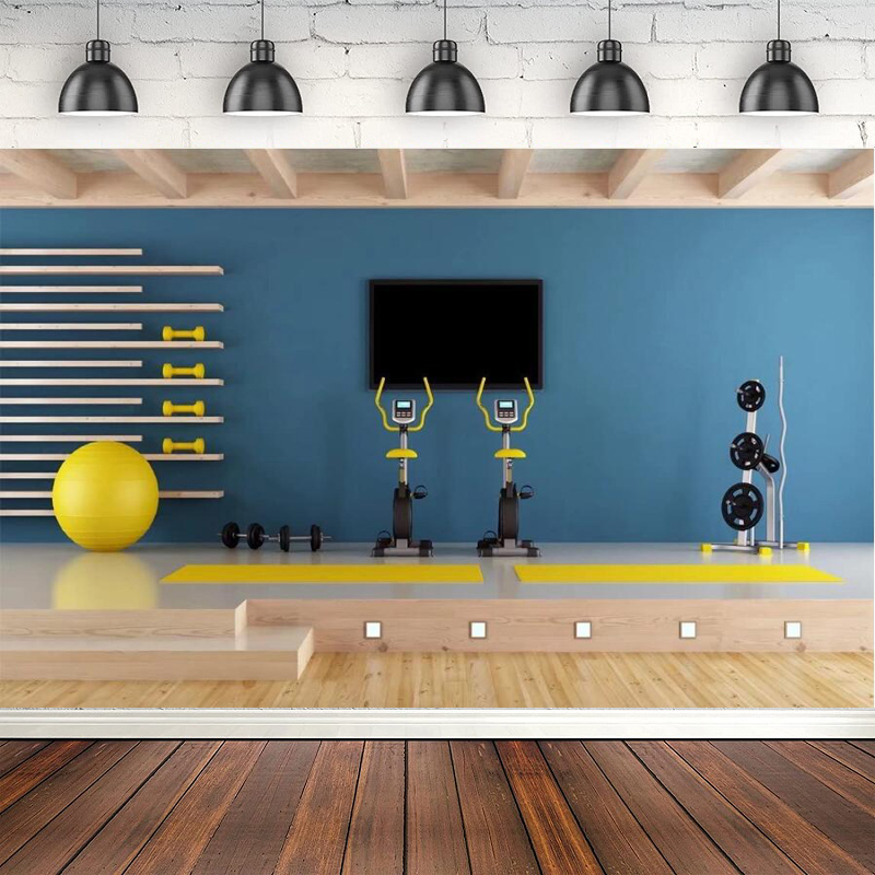 Yoga Fitness Online - Fotografie-Hintergrund Heimfitnessraum Moderner Fitnessraum Yogaball Fitness-Thema