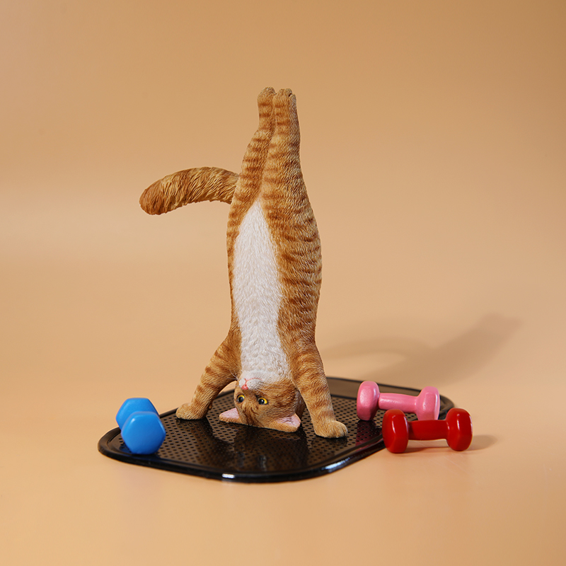 Mini-Simulations-Fitness-Katze – Yoga Fitness First Bewertung und Preis