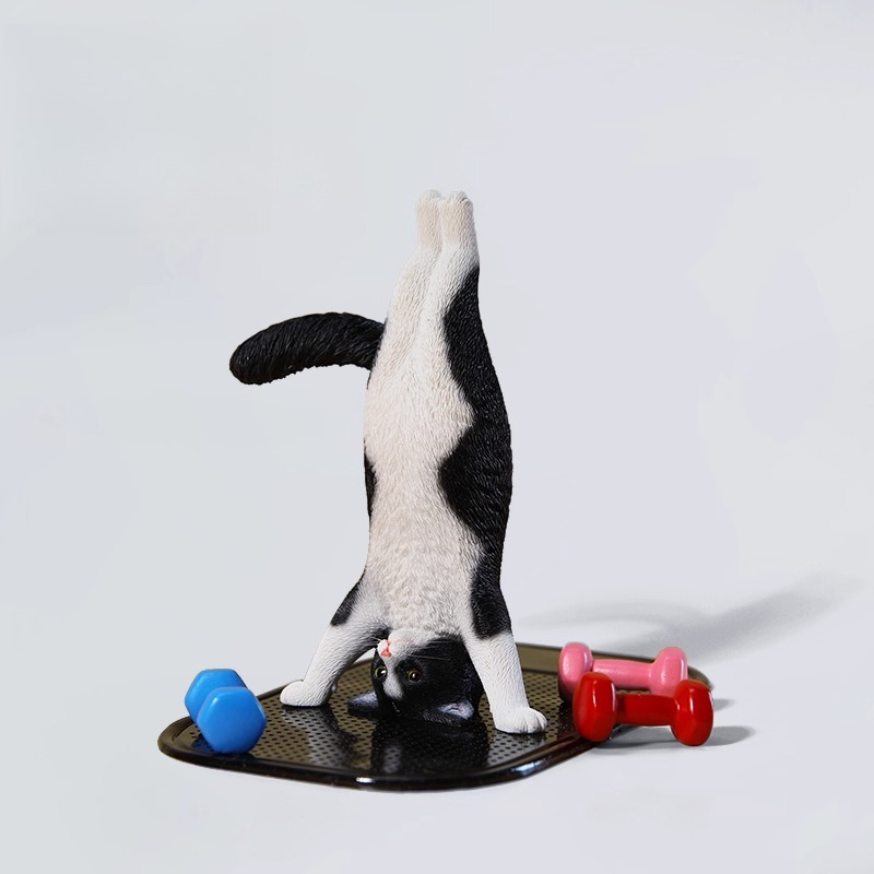 Mini-Simulations-Fitness-Katze – Yoga Fitness First Bewertung und Preis